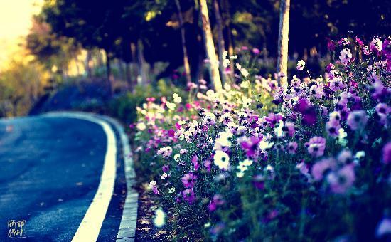 Beigong Forest Park